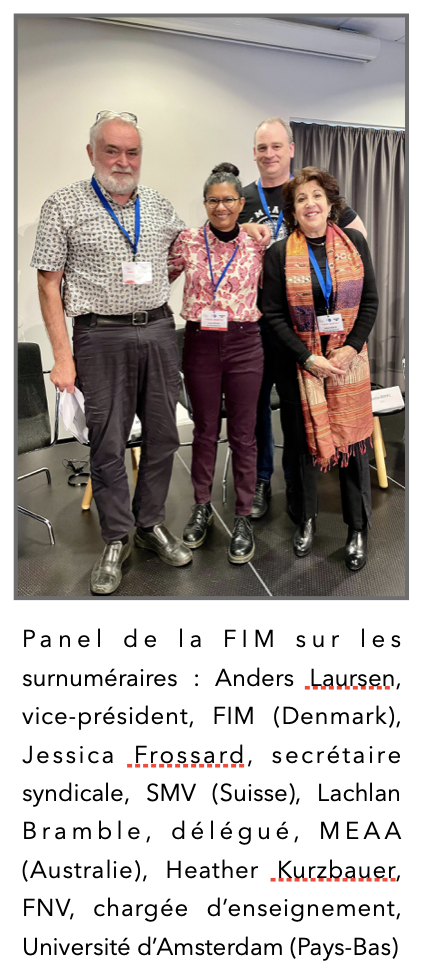 Panel FIM UV 28.1