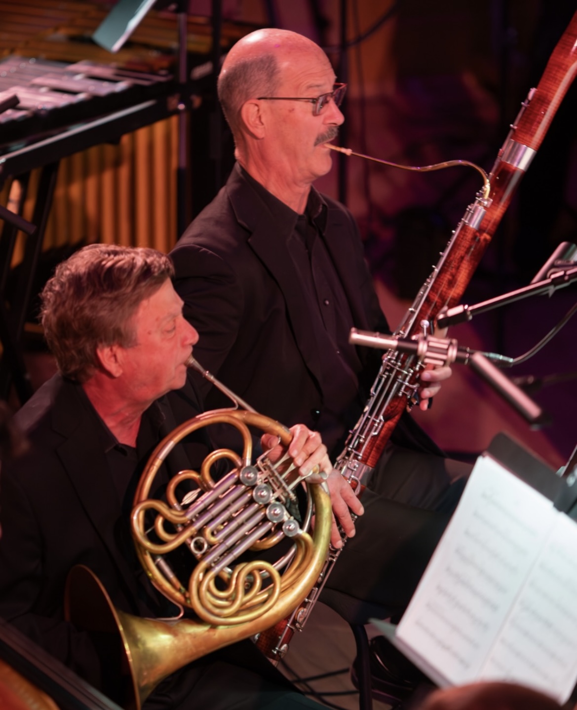 Ron George, Principal Horn and Spencer Phillips, Principal Bassoon, London Symphonia