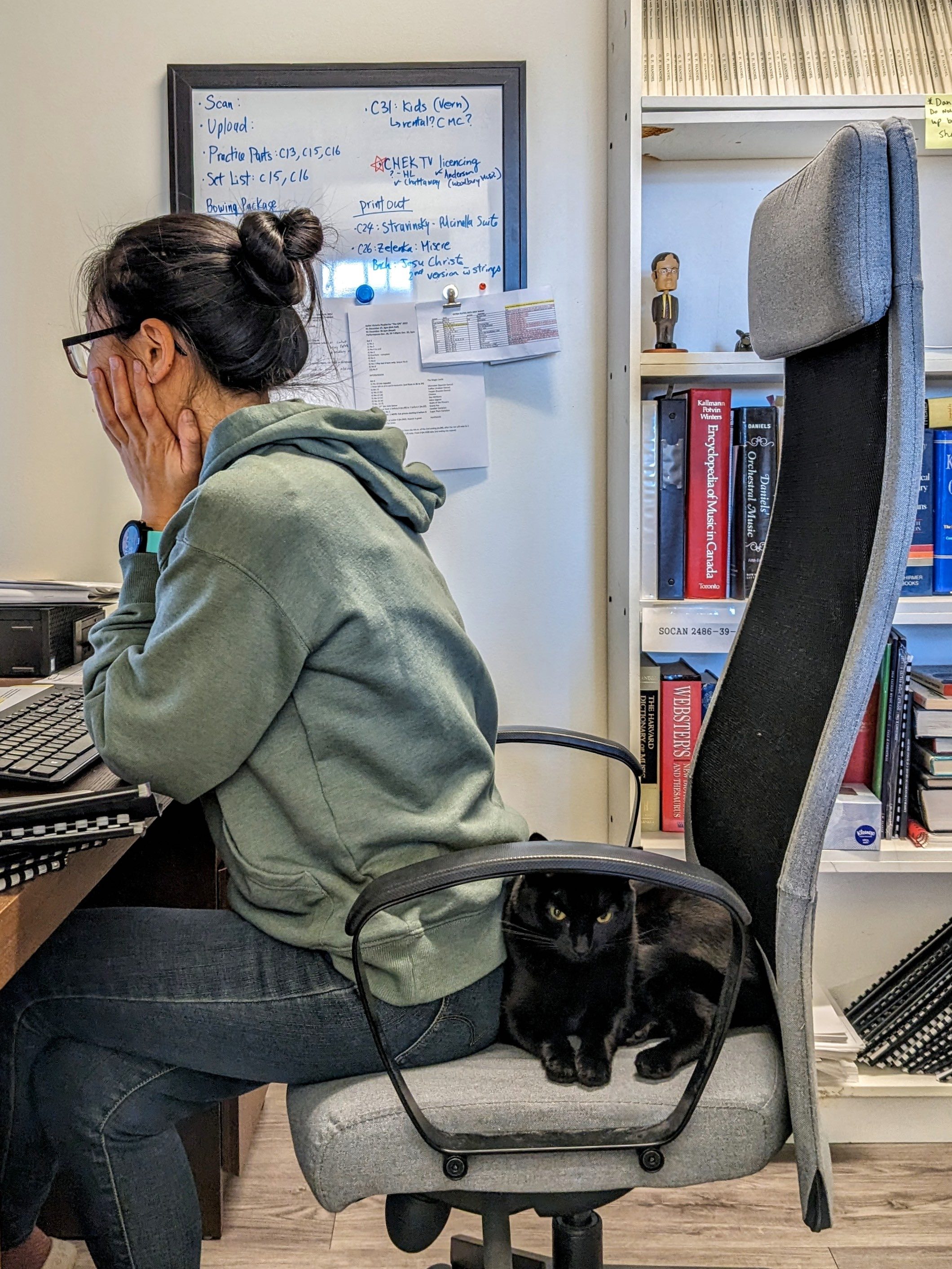 Misako Sotozaki, Victoria Symphony librarian